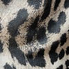 Vanting tørklæde med leopard print Vejl. 119,95
