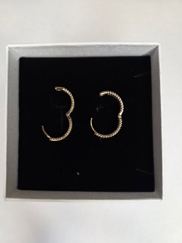 Vanting øreringe i forgyldt kirurgisk stål hoops med glimrende sten Vejl. 149,95 - Billede 3